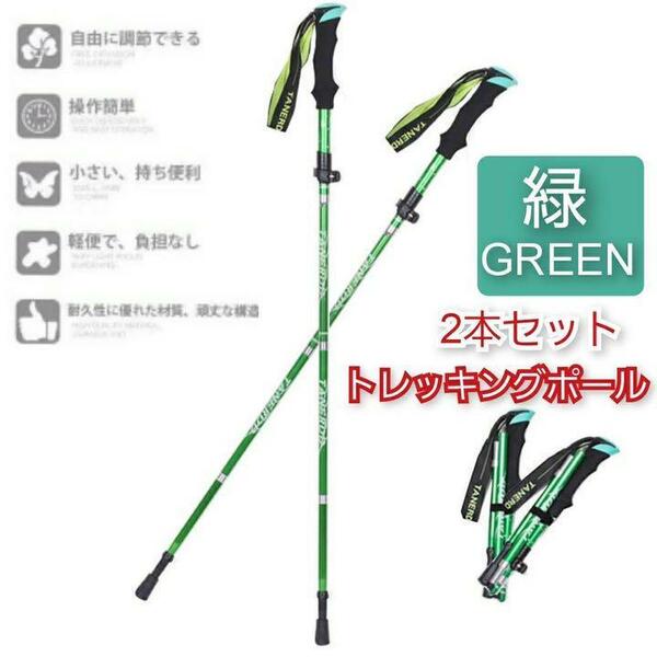 2本セット トレッキングポール 緑 杖 登山 リハビリ ウォーキング 折り畳み