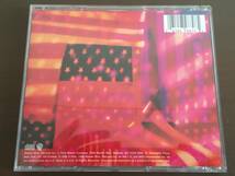 CD/MINISTRY FILTH PIG/【J6】 /中古_画像3