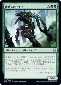 MTG マジック：ザ・ギャザリング 根無しのイチイ アンコモン カルドハイム KHM-189 日本語版 クリーチャー 緑