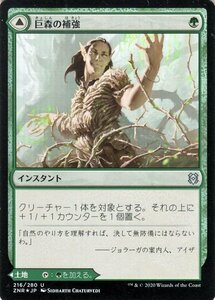 MTG マジック：ザ・ギャザリング ギャザ 巨森の補強/巨森の茂み フォイル・アンコモン ゼンディカーの夜明け ZNR-F216 日本語版