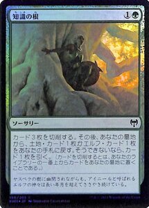 MTG マジック：ザ・ギャザリング 知識の根 フォイル・コモン カルドハイム KHM-F190 日本語版 ソーサリー 緑