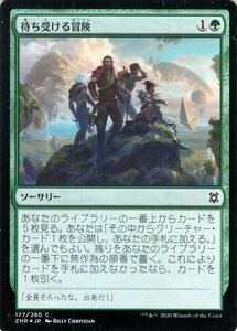 MTG マジック：ザ・ギャザリング ギャザ 待ち受ける冒険 フォイル・コモン ゼンディカーの夜明け ZNR-F177 日本語版 ソーサリー 緑