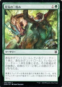 MTG マジック：ザ・ギャザリング ギャザ 狂気の一咬み フォイル・コモン ゼンディカーの夜明け ZNR-F199 日本語版 ソーサリー 緑