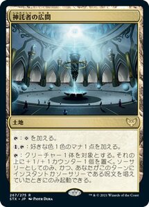 MTG マジック：ザ・ギャザリング 神託者の広間 レア ストリクスヘイヴン：魔法学院 STX-267 日本語版 土地 土地