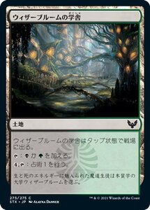 MTG マジック：ザ・ギャザリング ウィザーブルームの学舎 コモン ストリクスヘイヴン：魔法学院 STX-275 日本語版 土地 土地