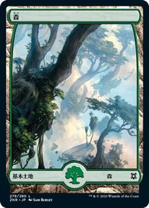 MTG マジック：ザ・ギャザリング ギャザ 森 基本土地 ゼンディカーの夜明け ZNR-278 日本語版 基本土地 土地