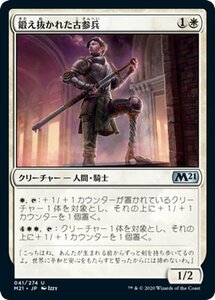 MTG マジック：ザ・ギャザリング 鍛え抜かれた古参兵 アンコモン 基本セット2021 ギャザ M21041 日本語版 クリーチャー 白