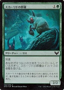 MTG マジック：ザ・ギャザリング スカーリドの群棲 フォイル ストリクスヘイヴン：魔法学院 STX-F142 日本語版 クリーチャー 緑