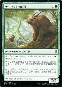 MTG マジック：ザ・ギャザリング ギャザ ナーリッドの群棲 フォイル・コモン ゼンディカーの夜明け ZNR-F185 日本語版 クリーチャー 緑