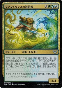 MTG マジック：ザ・ギャザリング クアンドリクスの栽培者 フォイル ストリクスヘイヴン：魔法学院 STX-F218 日本語版 クリーチャー 多色