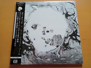 ラスト1枚【アナログLP】レディオヘッド Radiohead「A Moon Shaped Pool (Colored Vinyl)」＜RS2022/限定盤＞