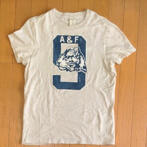 Abercrombie&Fitch Tシャツ アバクロTシャツ 半袖Tシャツ 半袖