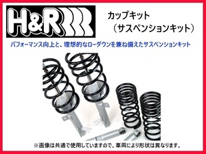 H&R cup kit Benz E Class W124 E280/E300/E320 40556-2