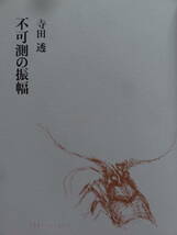 不可測の振幅　＜文芸・美術随想集＞ 寺田透:著 筑摩書房 1990年 正宗白鳥　幸田露伴　北原白秋　日夏耿之介　磯田光一ほか_画像4