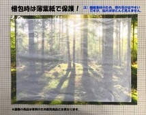 山陽・東海道新幹線 500系 第4世代 1997年運用開始 のぞみ 絵画風 壁紙ポスター ワイド版603×376mm（はがせるシール式）012W2_画像7