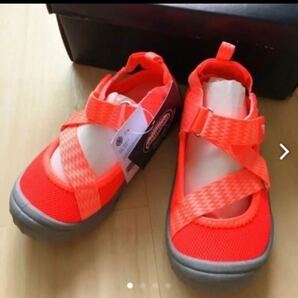 ◆新品未使用◆ オシュコシュ キッズ アクアシューズ マリンシューズ サンダル 水浴び 16.5cm