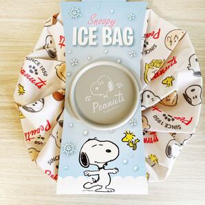 アイスバッグ 氷のう 氷嚢 アイスバック スヌーピー SNOOPY