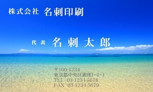 ★フリーデザイン名刺作成 ロゴ・写真・QRコード無料 フルカラー1箱100枚900円 プラケース付 ★