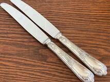 フランス　エルキューイ　マルリー 　純銀メッキ製テーブルナイフ　２本　25.5cm/Ercuis/468-13_画像7