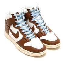 NIKE DQ8800-200-27 DUNK HI RETRO PRM_画像1