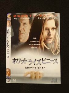 ○013048 レンタルUP：DVD ホワット・ライズ・ビニース 20021 ※ケース無