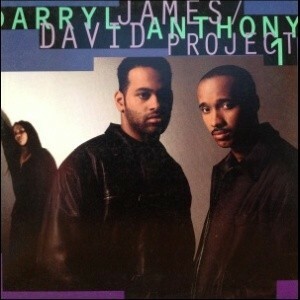 LPレコード　DARRYL JAMES & DAVID ANTHONY / PROJECT 1 (LP)