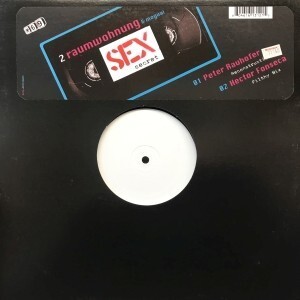 12inchレコード　2RAUMWOHNUNG & MOGUAI / SEX SECRET