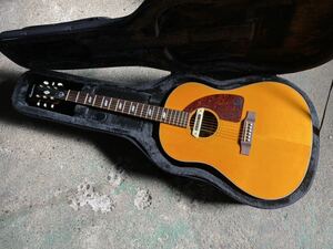 Epiphone Inspired by 1964 Texan L.R.Baggs M80搭載 SKBセミハードケース付