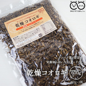  dry koorogi600g ( approximately 6000 pcs ~6600 pcs )i eko orogi meal for reptiles aquarium fish small animals birds. bait .