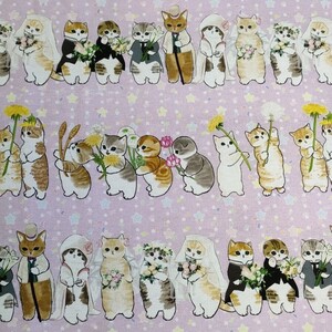猫柄 綿素材 シーチング生地 100×生地幅110cm