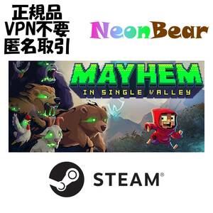 Mayhem in Single Valley Steam製品コード