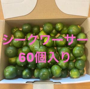 シークワーサー 【沖縄産】