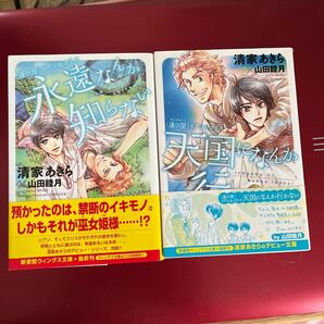 永遠なんか知らない　〈運び屋〉リアン＆クリス （新書館ウィングス文庫　１５９　ＷＩＮＧＳ　ＮＯＶＥＬ） 清家あきら／著