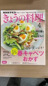 NHKきょうの料理2022年4月号 春キャベツおかず/レミ&明日香の特製だれとおかずの素/たけのこレシピ 〒185円
