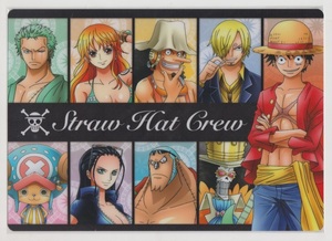 ＃下敷き　ONE PIECE　ワンピース　Straw Hat Crew　麦わらストア