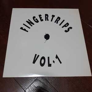 V.A. FINGERTRIPS VOL. 1 /CHROME FINGER TRIP THEME/MASTERS AT WORK/TODD TERRY/KENNY DOPE/PETER DAOU/LUKE VIBERT/90'S DEEP HOUSE