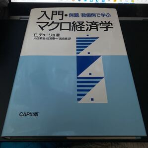 例題/数値例で学ぶ入門・マクロ経済学 E.デューリョ/著 大住栄治/〔ほか〕訳