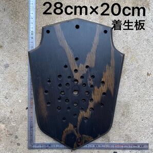 着生板 4 【ブラック色】 ビカクシダ コウモリラン 板付け