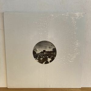 シールド Kevin Johnson Cosmic Rain E.P. / DNH-051の画像3