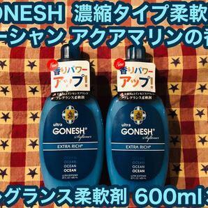 ガーネッシュ GONESH 濃縮タイプ柔軟剤 オーシャン アクアマリンの香り 柔軟剤 フレグランス柔軟剤 600ml×2 ウルトラソフナー ムスク