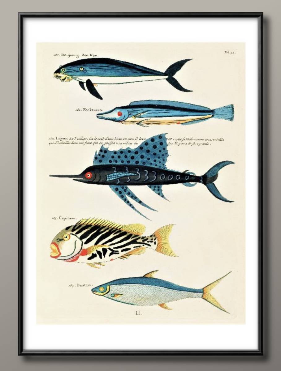 0114■Free shipping!! A3 poster Marine Life Nordic/Korean/painting/illustration/matte, Housing, interior, others