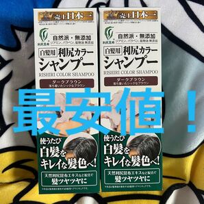 利尻 カラーシャンプー ダークブラウン 2点セット