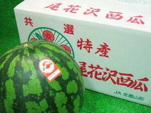 【Good】夏スイカ日本一！超大玉5Lサイズ 山形産『尾花沢西瓜』5L1玉 約10kg