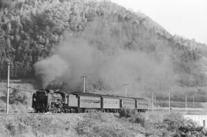 飾って楽しむ鉄道写真（去りゆく蒸気機関車：筑豊本線 ） NO.63770179「D511150」