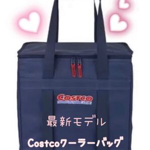 今週末まで!最新モデル コストコオリジナル クーラーバッグ 保温保冷バッグ すしバッグ 49L