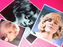 ★シルヴィ・ヴァルタン（Sylvie Vartan） A４サイズ＋２Lサイズ＋(230×210)＋◎　クリアポケット入り_画像1