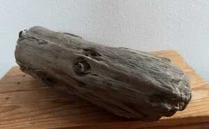 17* driftwood * reptiles breeding * interior * objet d'art * perch * insect breeding 