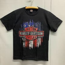 SR10B2. Tシャツ Lサイズ　HARLEY-DAVIDSON (12) ハーレーダビッドソン_画像1