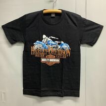 SR10B2. Tシャツ Lサイズ　HARLEY-DAVIDSON (14) ハーレーダビッドソン_画像1