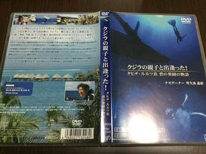 ◇キズ汚れ 動作OK◇クジラの親子と出逢った! タヒチ・ルルツ島 碧の楽園の物語 DVD 国内正規品 セル版 野久保直樹 即決